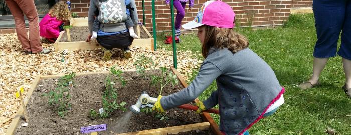 Kindergarteners Explore Where Food Comes From Header Image