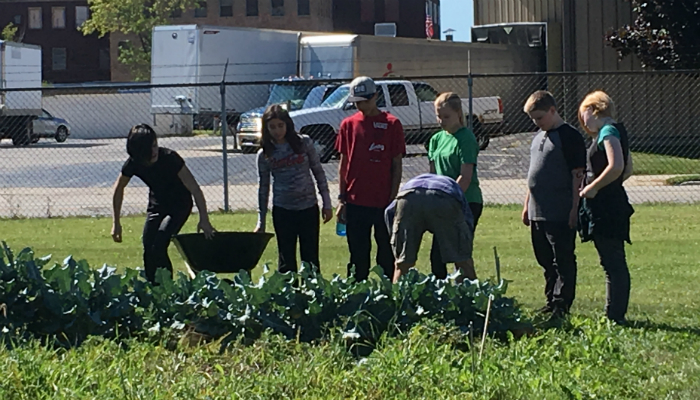 Mosaic Service Day 2016 Nourish Slider Image